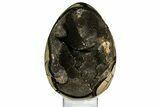 Septarian Dragon Egg Geode - Black Crystals #157873-2